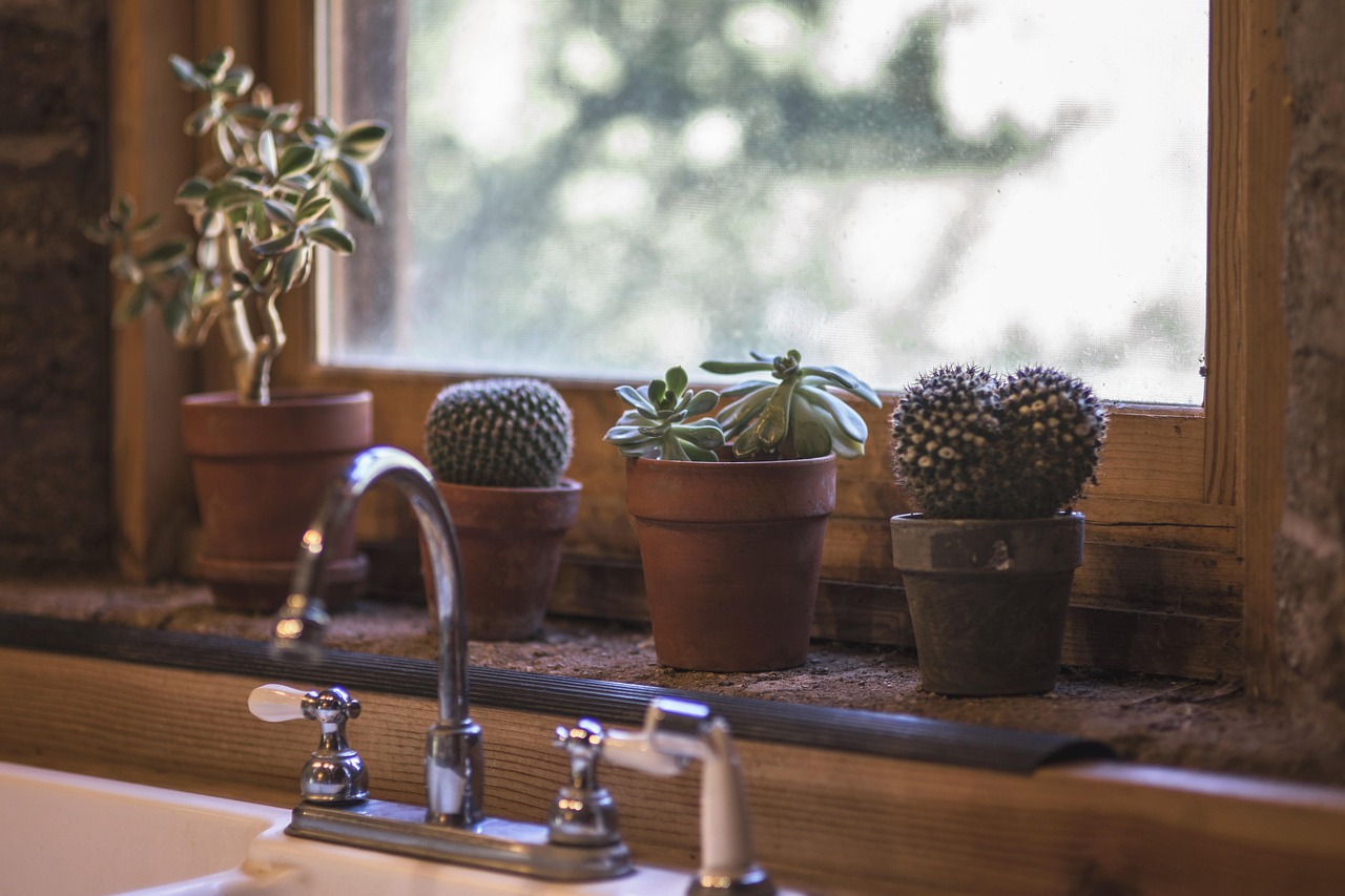 découvrez des méthodes naturelles et efficaces pour déboucher le siphon de votre évier sans produits chimiques, en utilisant des astuces écologiques faciles à appliquer.