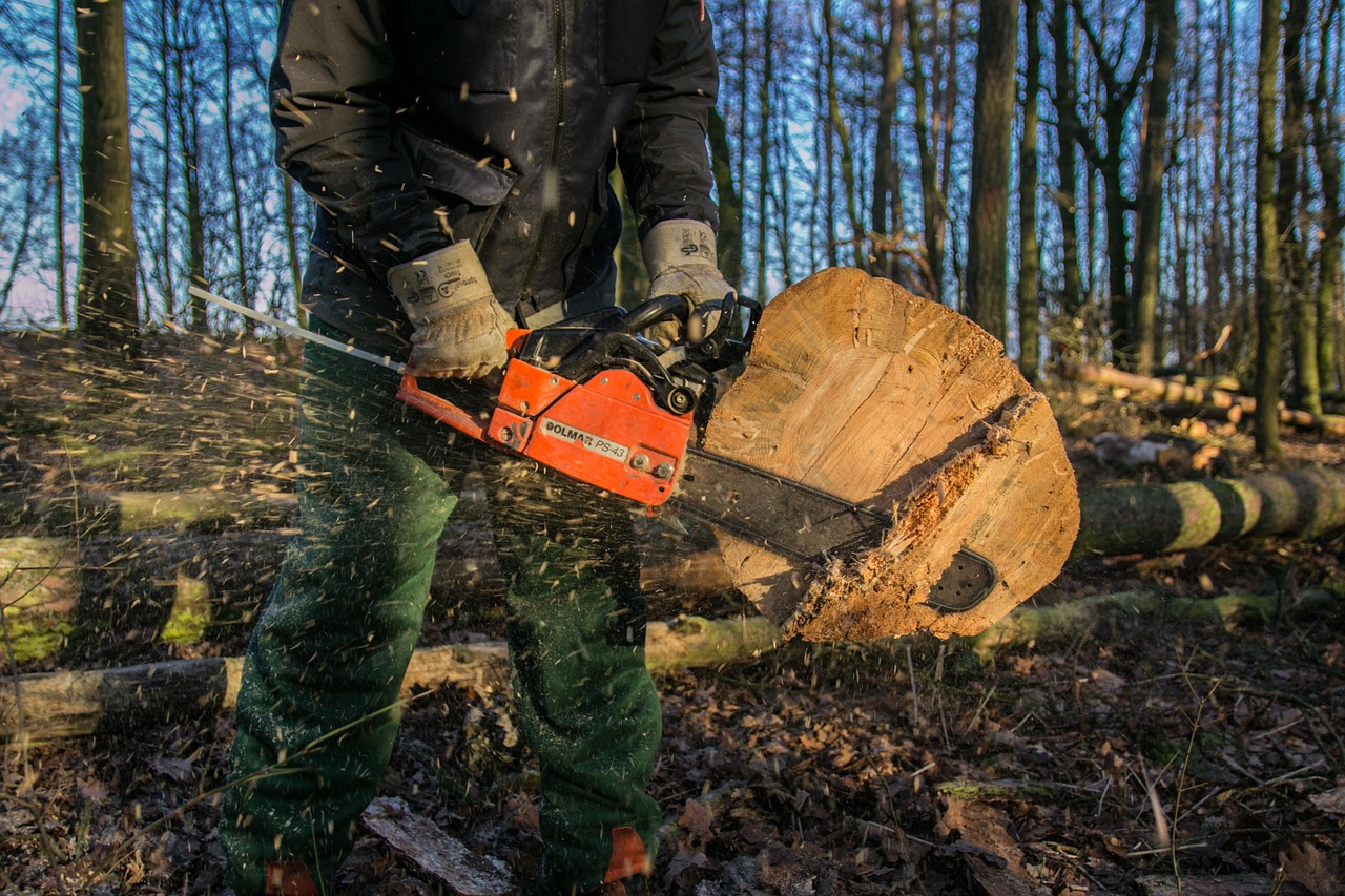 Quelle scie utiliser pour découper du bois selon le type de projet ?